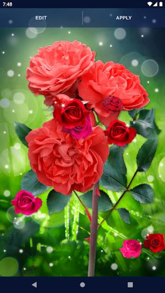 Red Rose Live Wallpaper स्क्रीनशॉट 0