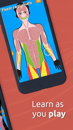 Human Anatomy - Body parts Screenshot 2