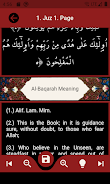 The Holy Quran and its Meaning 스크린샷 3