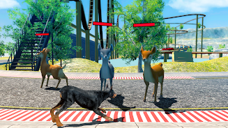 Doberman Dog Simulator Schermafbeelding 1