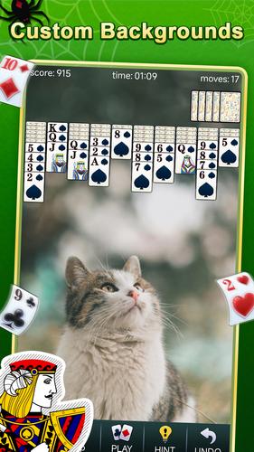 Spider Solitaire Скриншот 2