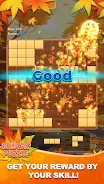 Block Puzzle：Maple Melody应用截图第3张