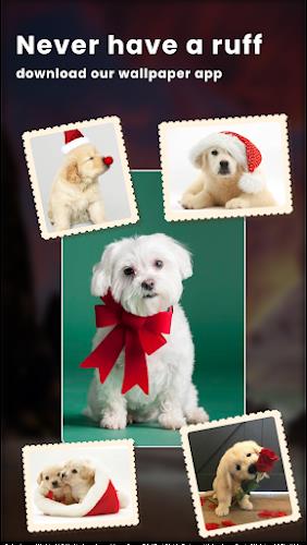 Puppy Love: Cute Dog Wallpaper স্ক্রিনশট 1