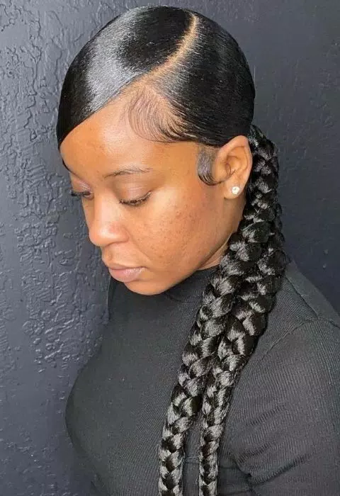 Sleek Braided Ponytail Styles Tangkapan skrin 0