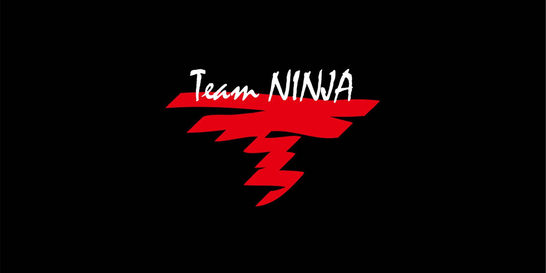 Team Ninja သည် နှစ် 30 နှစ်မြောက် အစီအစဥ်များကို နှိုးဆော်ထားသည်။