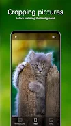 Kitten Wallpapers 4K Ảnh chụp màn hình 3