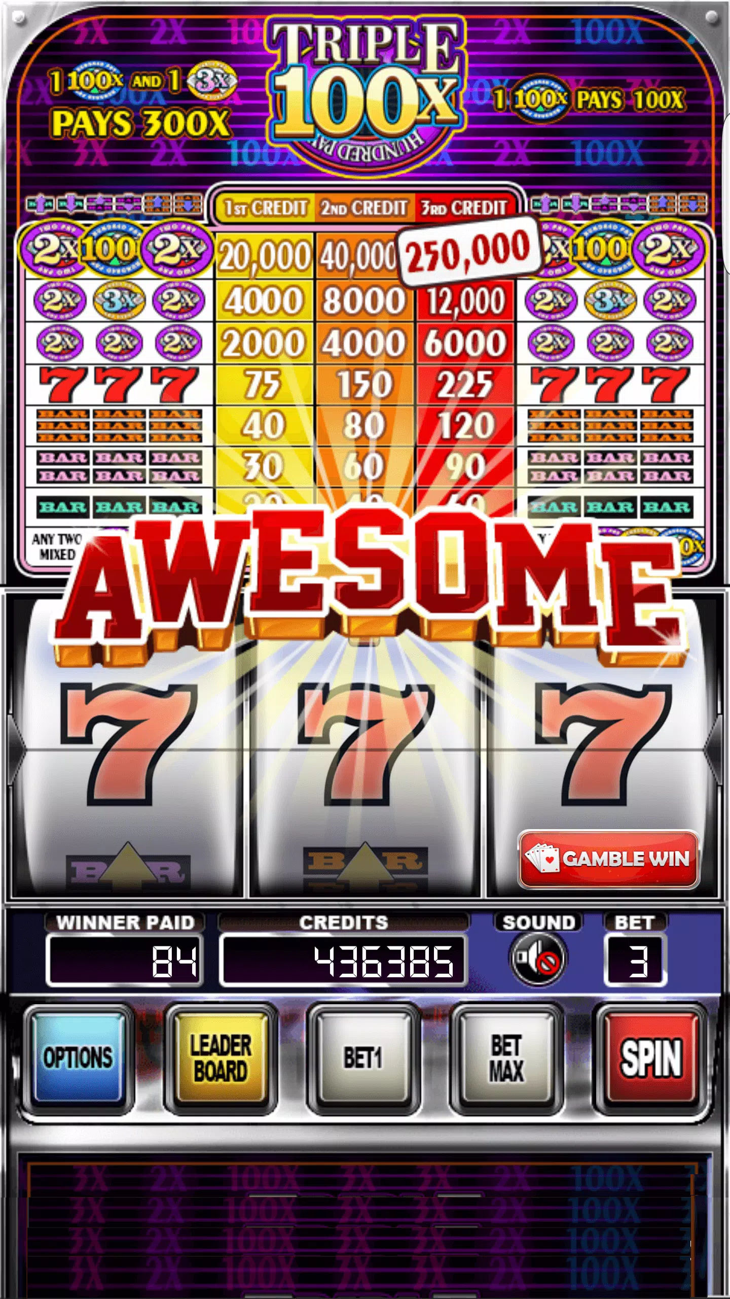 Double Wild Slots ဖန်သားပြင်ဓာတ်ပုံ 2