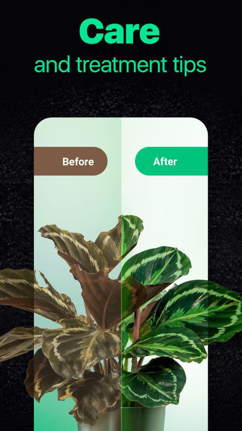 NatureID Screenshot 1