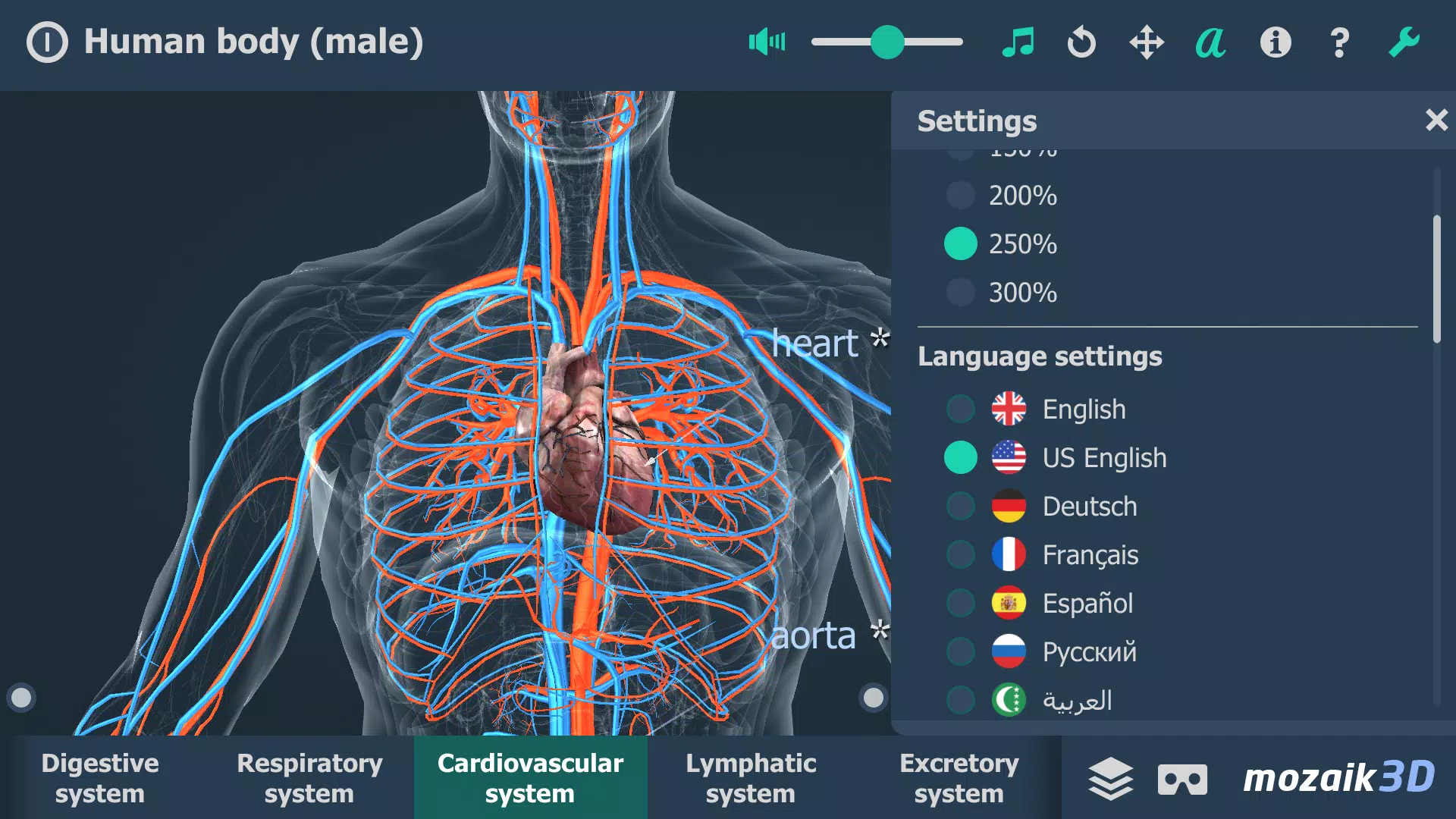 Schermata Human body (male) 3D scene 1