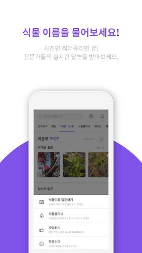 모야모 Screenshot 1