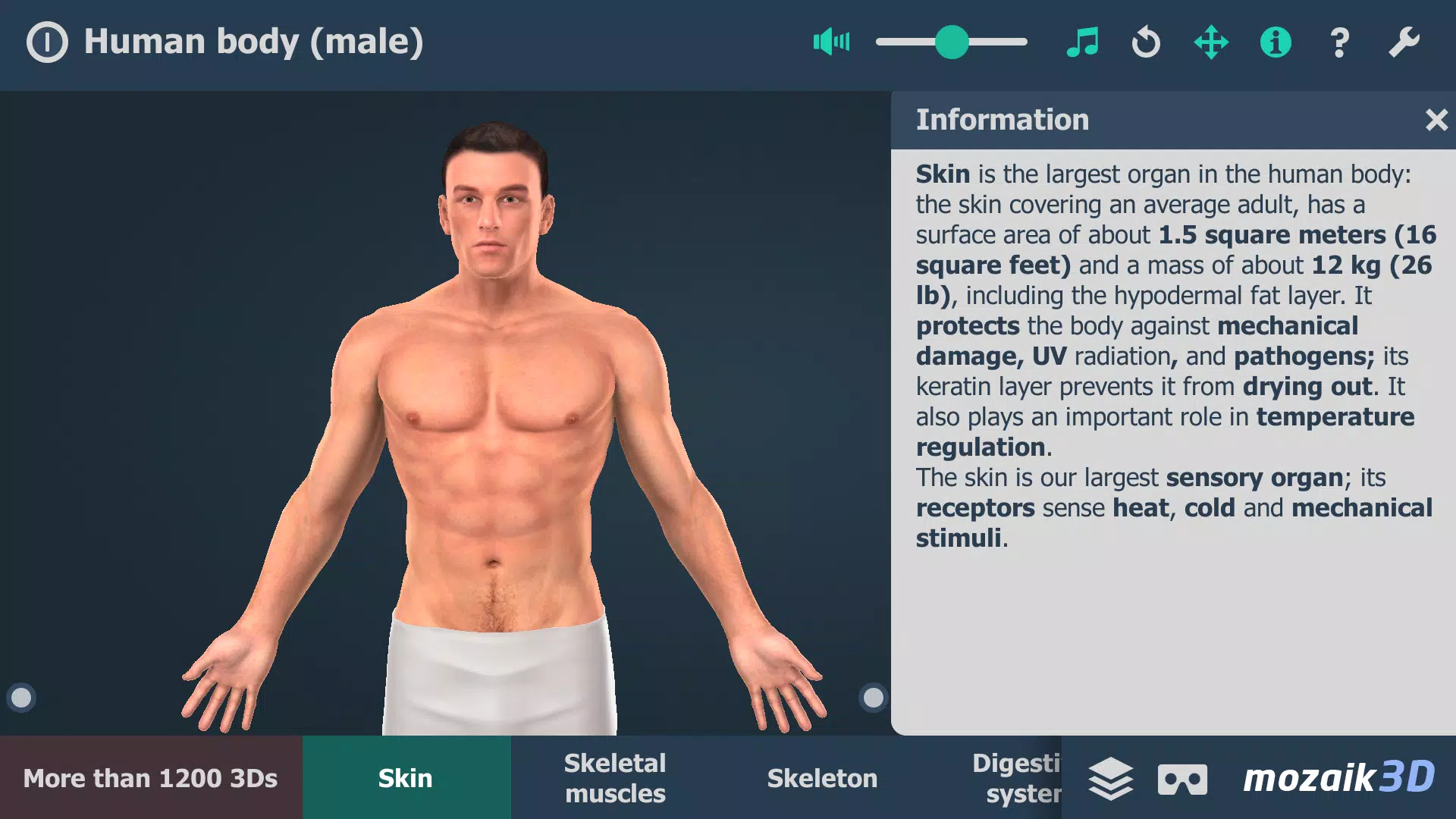 Schermata Human body (male) 3D scene 0