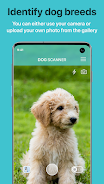 Dog Scanner: Breed Recognition Tangkapan skrin 0