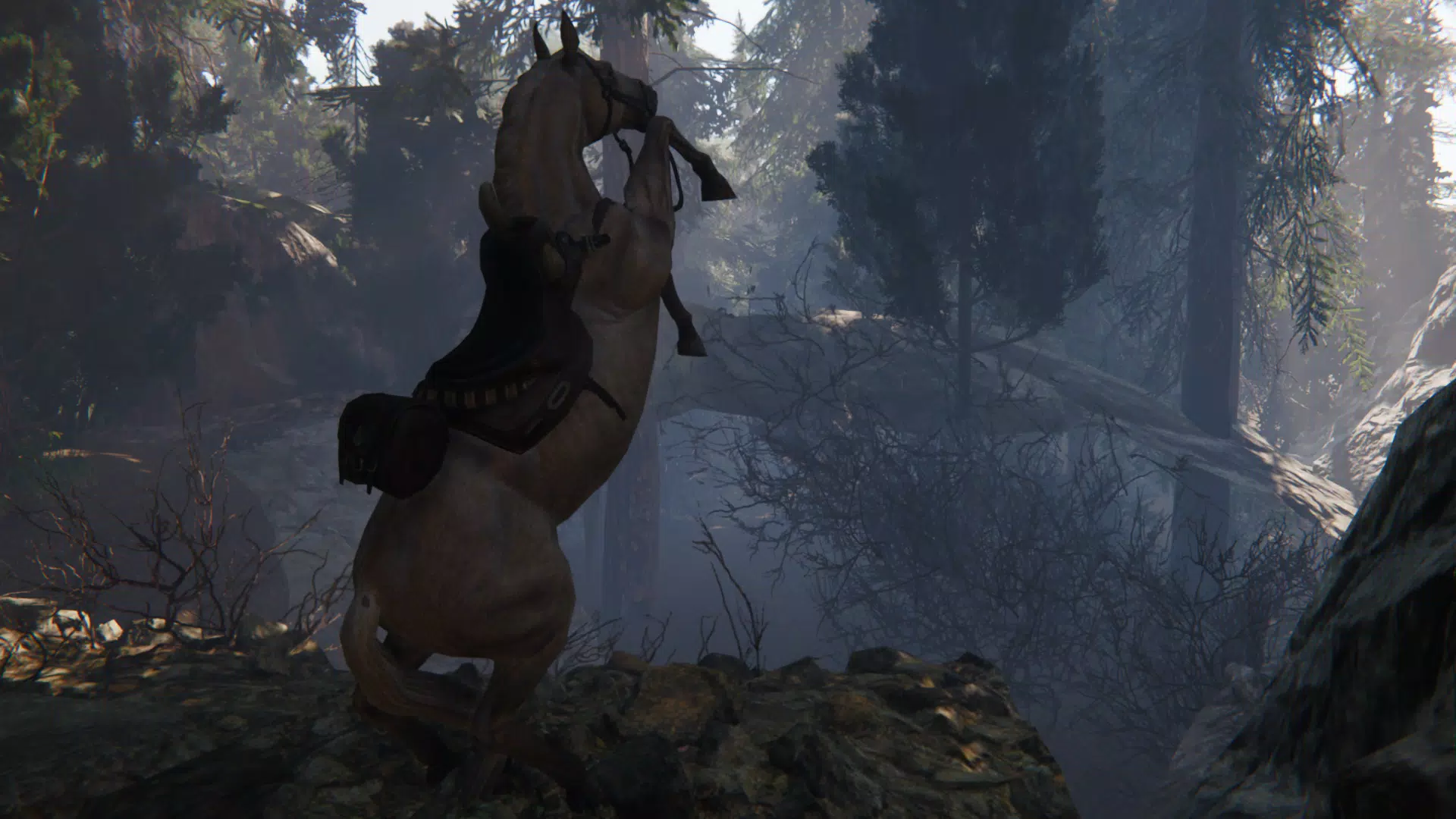 Spirit Horse: Woodland Trails Captura de tela 3