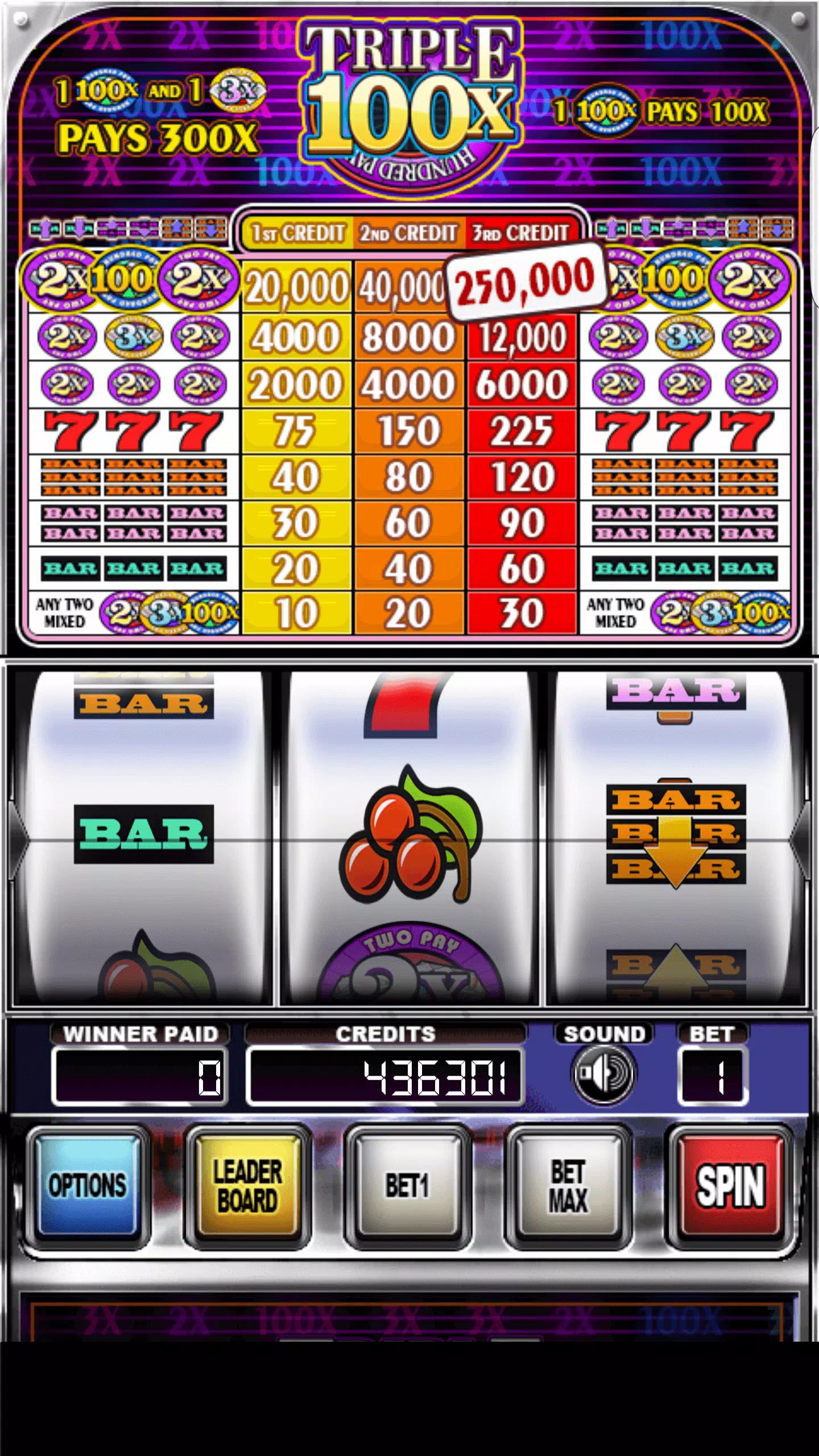Double Wild Slots ဖန်သားပြင်ဓာတ်ပုံ 0
