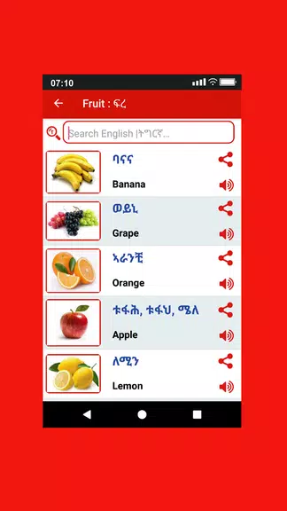 Tigrinya Word Book应用截图第3张