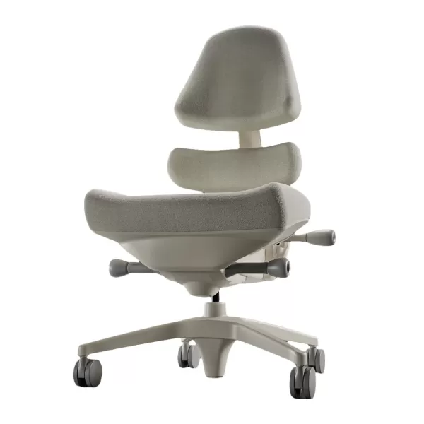 Kerusi Pejabat Ergonomik Terbaik untuk Kerja dan Permainan: Pilihan Pakar