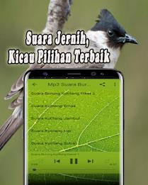 Suara Burung Kutilang Offline Capture d'écran 3