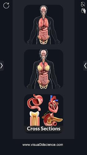 My Organs Anatomy Screenshot 0