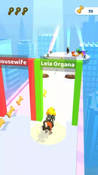 Groomer run 3D应用截图第3张