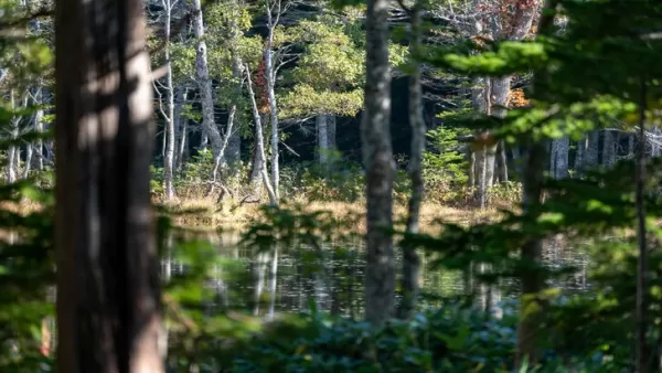 Geest van Yotei die zich afspeelt in Hokkaido vanwege zijn gevoel van gevaar en schoonheid