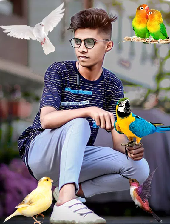 Birds Photo frame : Bird photo Tangkapan skrin 2