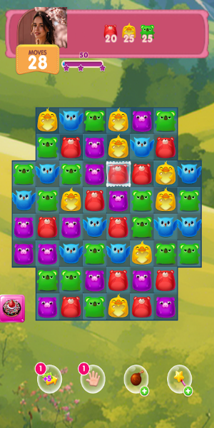 JoyMatch Tangkapan skrin 1