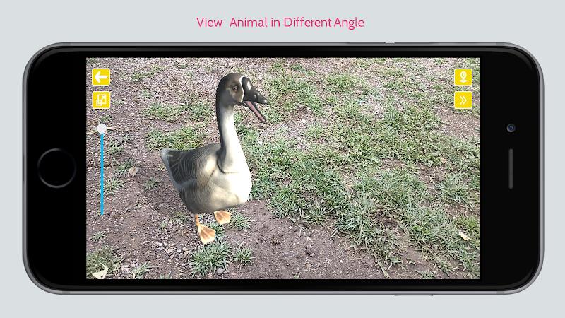 Animal in Ar স্ক্রিনশট 2