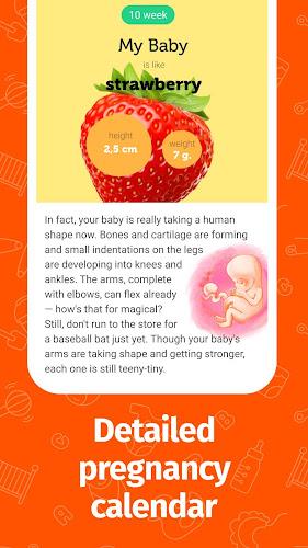 Pregnancy App and Baby Tracker Tangkapan skrin 2