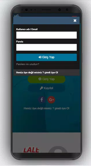 Chatlik | Lale Halı Koltuk Yıkama Скриншот 2