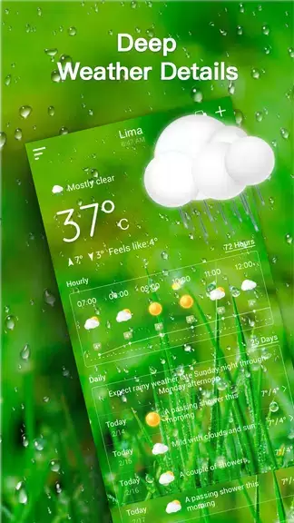 Live Weather Forecast Screenshot 2