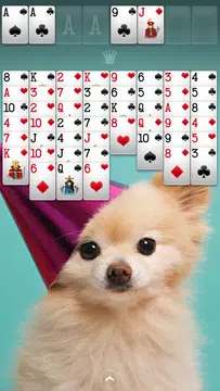 FreeCell Solitaire+ 螢幕截圖 1