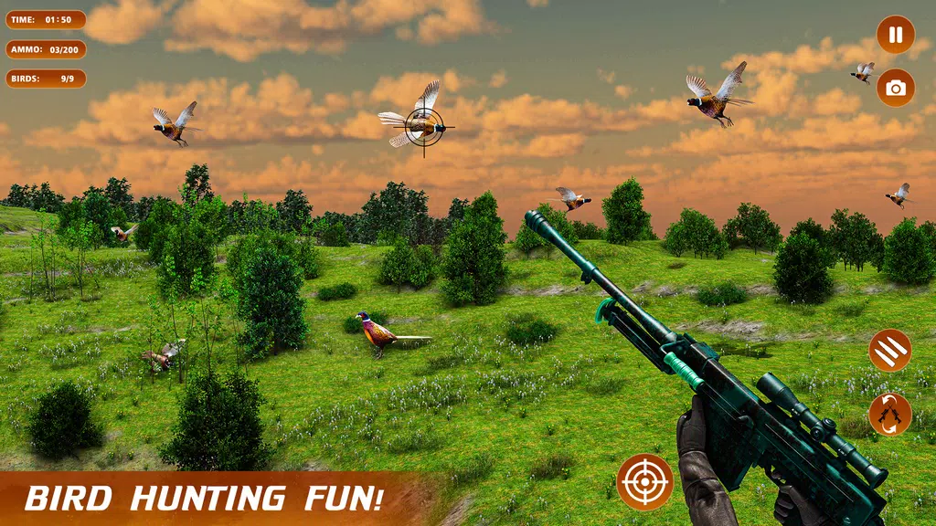 Pheasant Shooter Birds Hunting 螢幕截圖 3