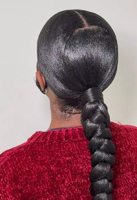 Sleek Braided Ponytail Styles Tangkapan skrin 2