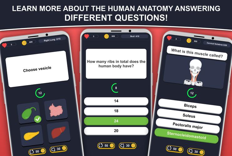 Anato Trivia Capture d'écran 0