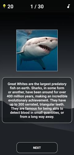 Animal Quiz: Guess the Animal应用截图第3张