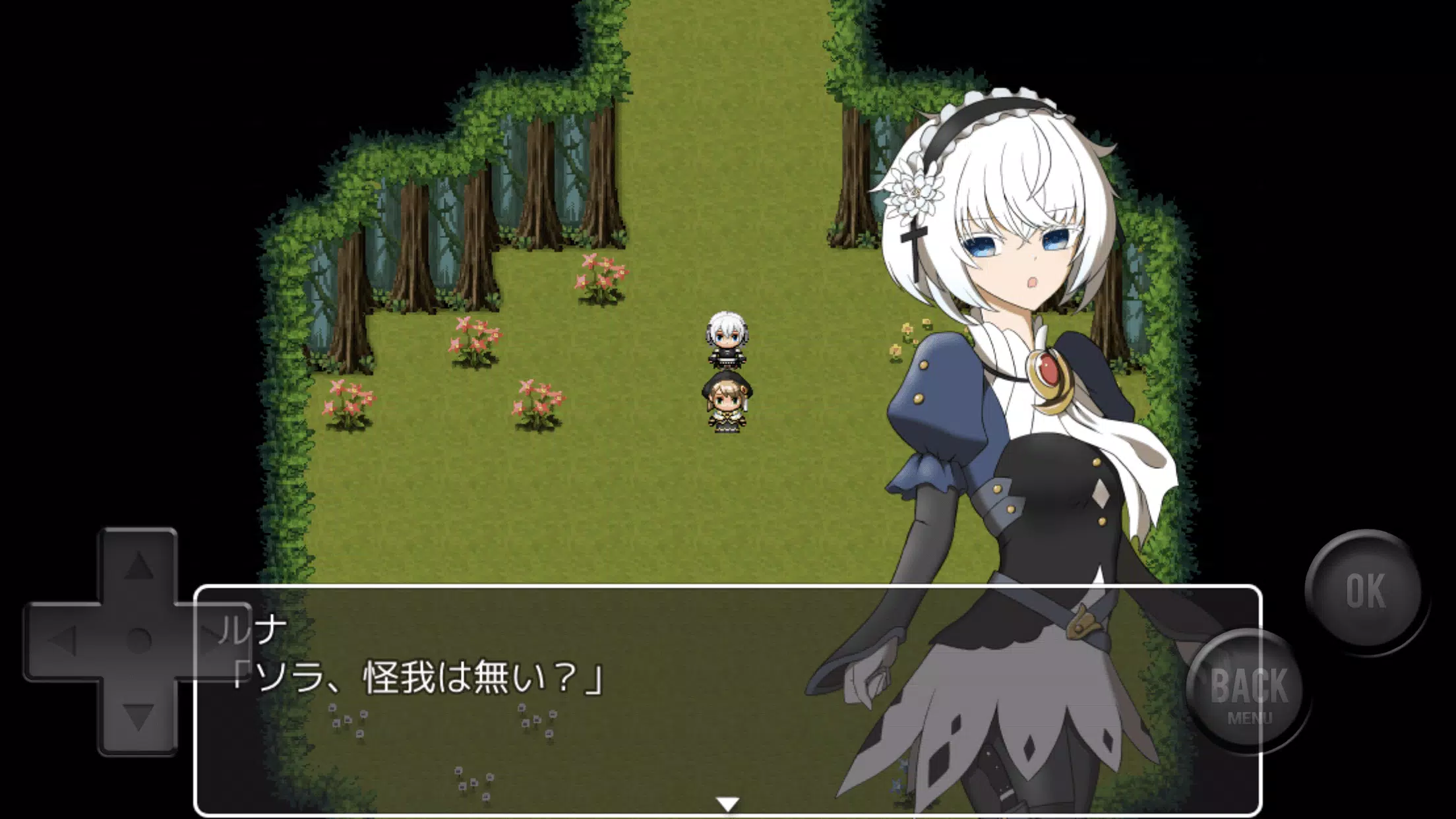 ミレニアムの護り手 Capture d'écran 3