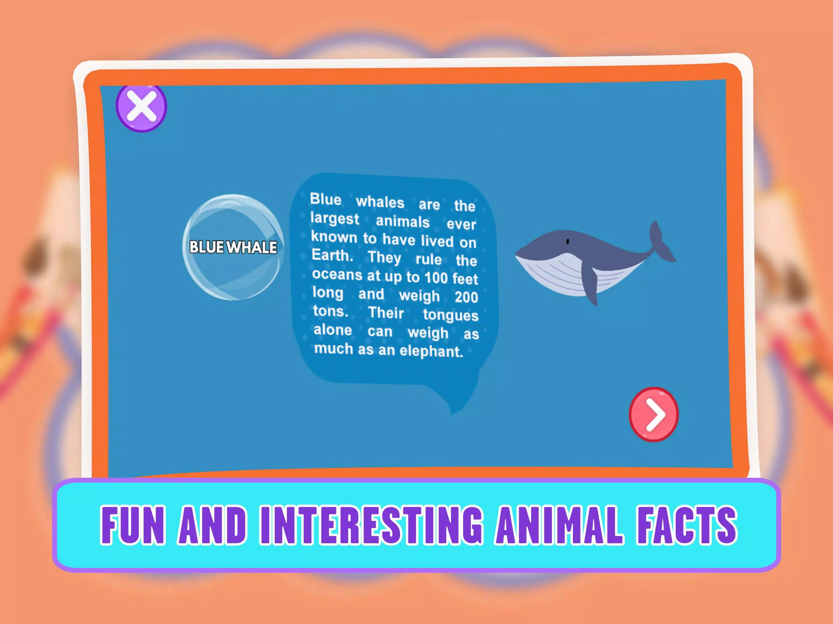 Learning Animal Coloring Games 螢幕截圖 3