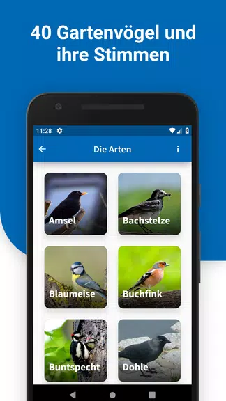 40 Gartenvögel & ihre Stimmen 螢幕截圖 0