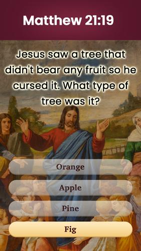 Desafio de palavras da Bíblia Captura de tela 1