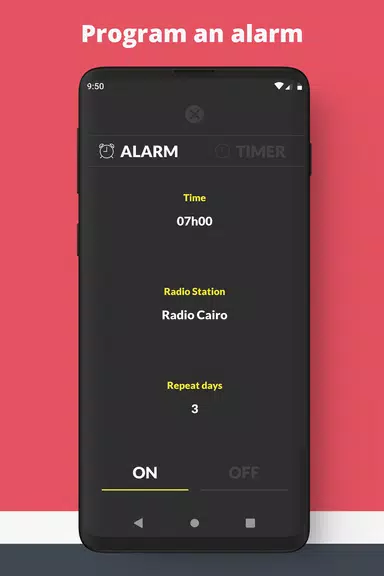 Radio Egypt: Radio FM online Tangkapan skrin 3