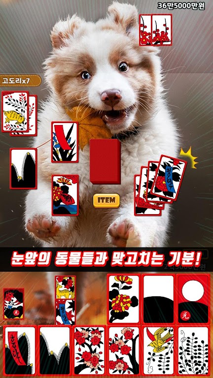 애니멀 맞고 - 동물 팻 고스톱 Captura de pantalla 1