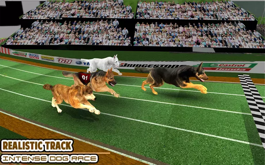 Dog racing games - dog game 3d ภาพหน้าจอ 0