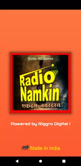 Radio Namkeen- FM Radio Online স্ক্রিনশট 0