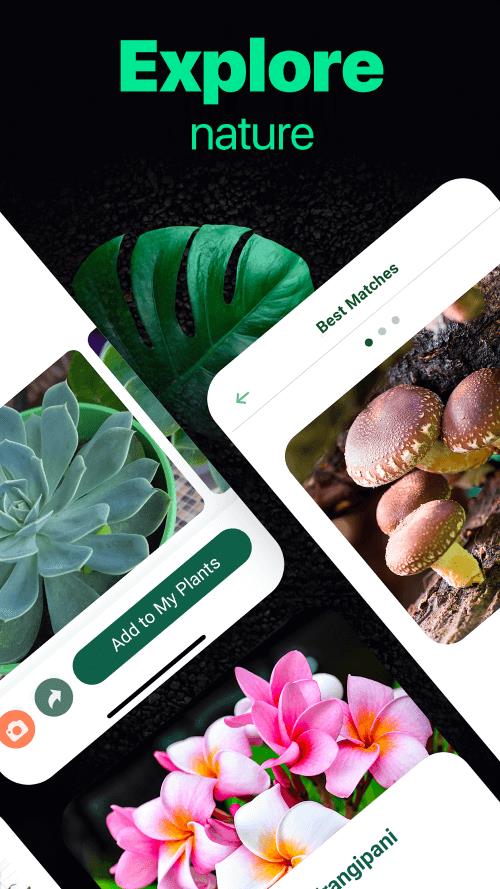 NatureID ภาพหน้าจอ 3