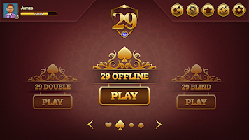 29 Royal Pro Card Game Offline Tangkapan skrin 2