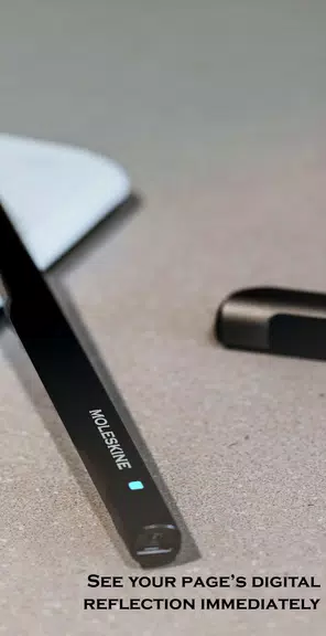 Moleskine Notes Zrzut ekranu 1