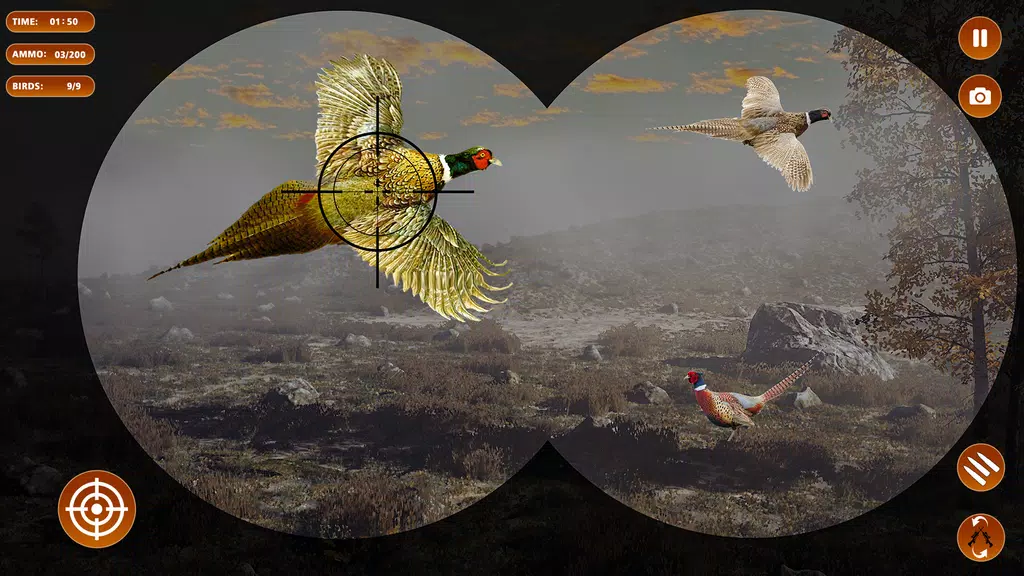 Pheasant Shooter Birds Hunting 螢幕截圖 0