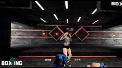 Boxing Coach Screenshot 2