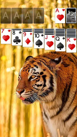 Solitaire Tiger Theme স্ক্রিনশট 0