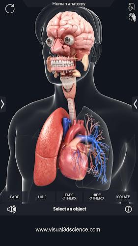 My Organs Anatomy Screenshot 3